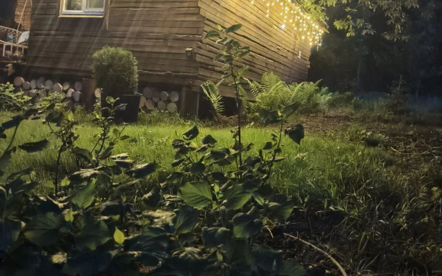 Частный дом в лесу у реки