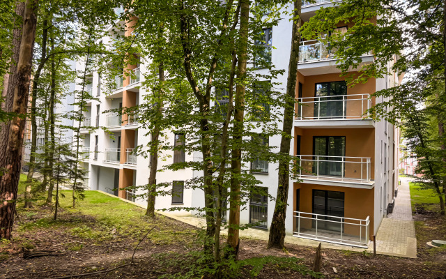 Апартаменты комфорт класса с видом на лес