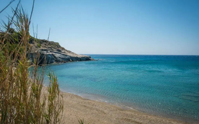 Elena’s Beach Garden