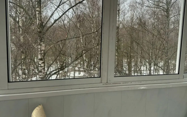 Квартира у метро Ховрино