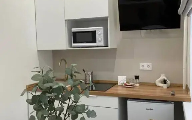 Апартаменты Студии Viva Aparts