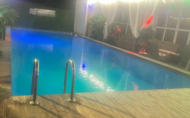 Olenev_spa Guest house
