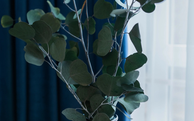 Apartment Cozy space in the center 2