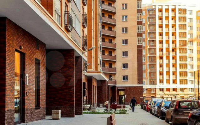 Kudrovo park Flat