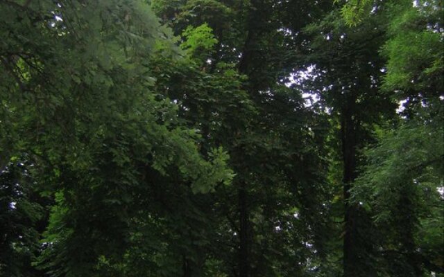 Chinar Hotel