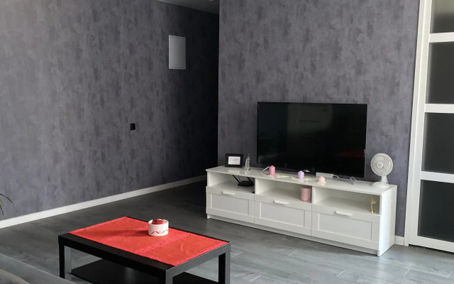 2-Kh Komnatnaya Kvartira V Samom Tsentre,45 M2 Flat