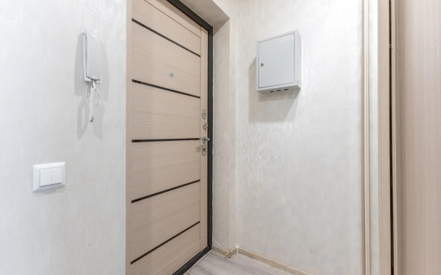 Na Chistopolskoy 12 Flat