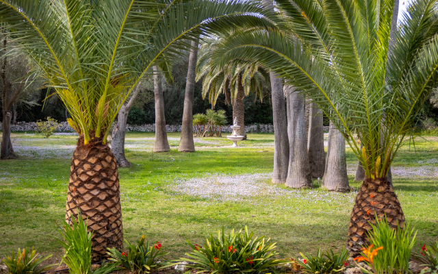 Отель Finca Predio Son Serra