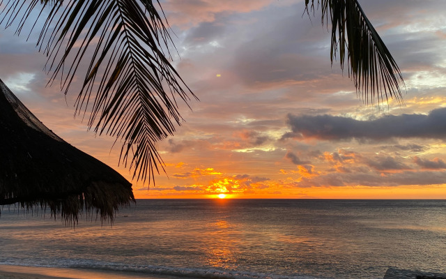 Отель FreeDive Inn