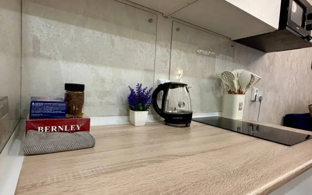 Uyutnaya Studiya V Tsentralnom Rayone Goroda Flat