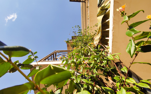 Adilet Guest House