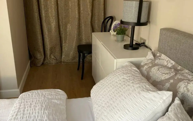 Vidovaya s Terrasoy v Tsentre Flat
