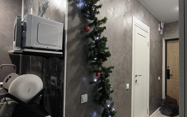 Квартира Атмосферная студия