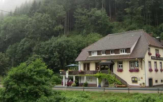 Апарт-Отель Black Forest family