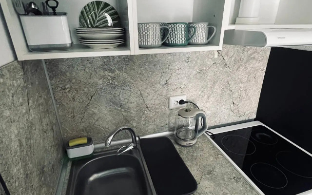 Studiya Na Bakalinskaya 64/4 Flat