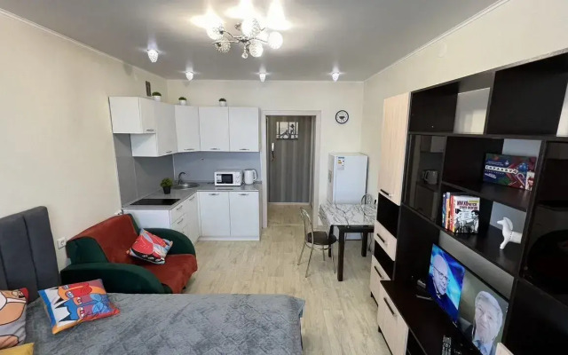 Квартира на Богомягкова 2к3