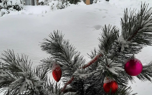 Частный дом в Вязах 2