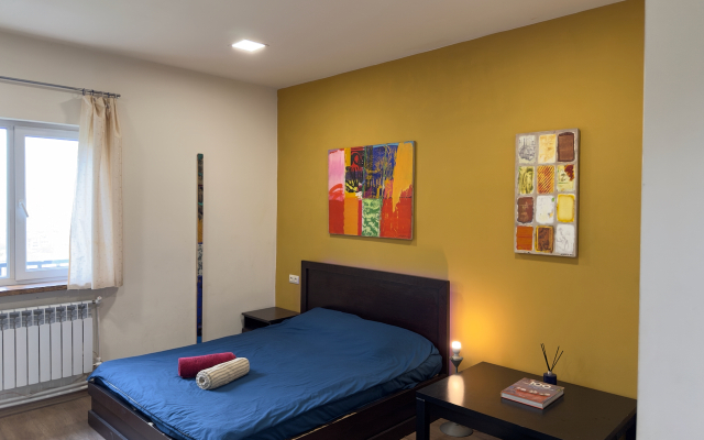 Cosy studio near center Apartments