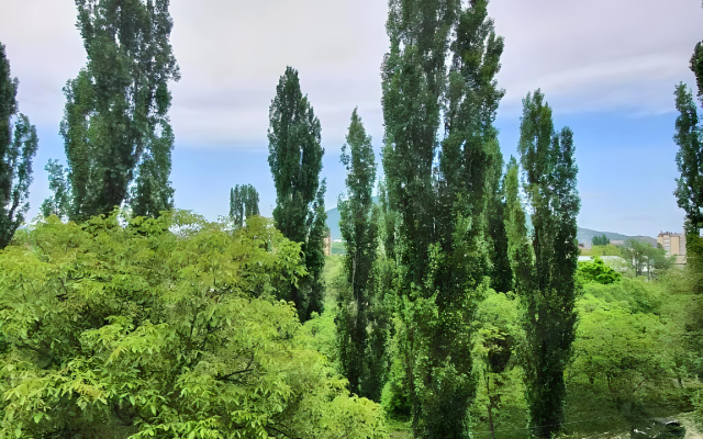 S Vidom na Goru Mashuk Apartments