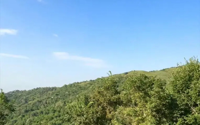 Glamping Apple Resort