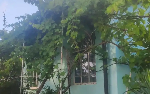 Guest house Usadyba