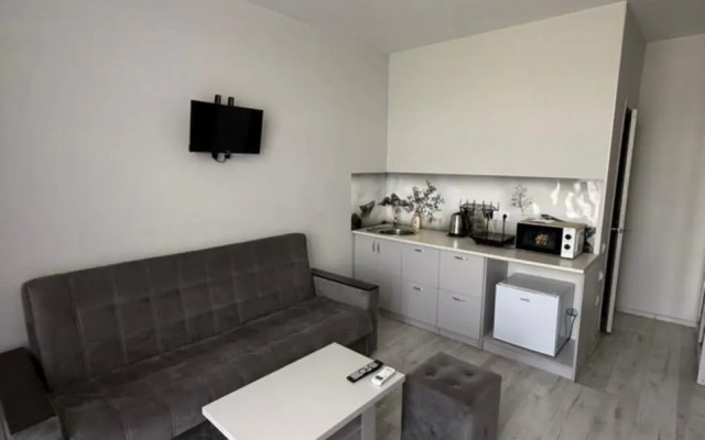 Апартаменты Четырехместная студия в Сириусе