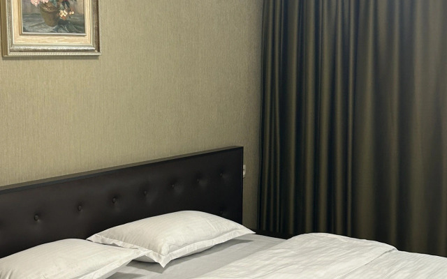 Апартаменты Apartment with marvelous view abanotubani