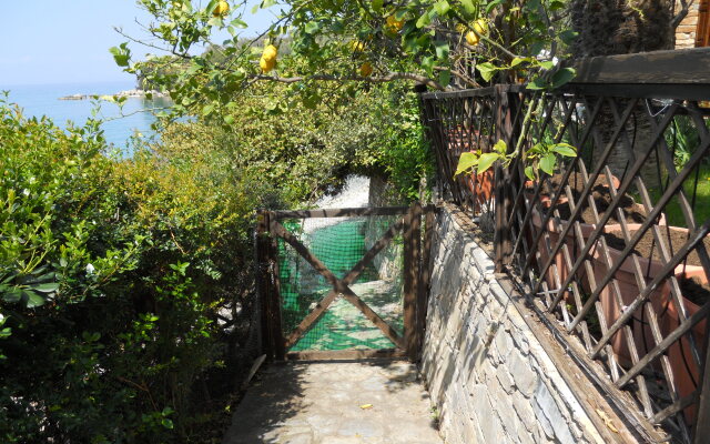 Villa  Elektra Apartments