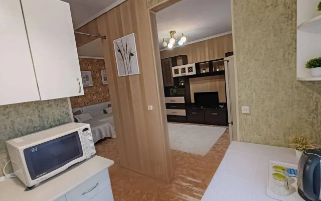 Апартаменты Гагарина 137