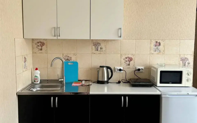 Studiya Na 2 Etazhe Flat