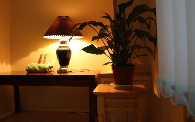 Svoboda 9 Hostel