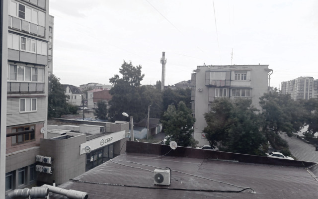 V Samom Tsentre Ryadom S Parkom Apartment
