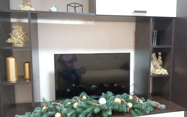 V Tsentre U Reki Pskovy Flat