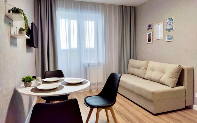 Квартира уютная однокомнатная у Гагаринского парка