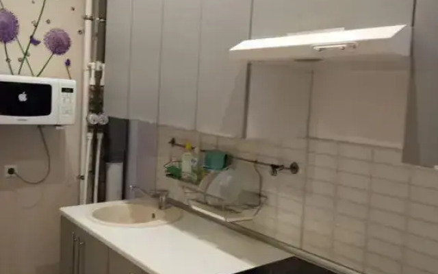 Квартира на Большой Санкт-Петербургской 124