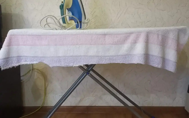 Studiya V Tsentre Flat