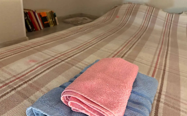 Апартаменты Вдохновение с видом на Петербург