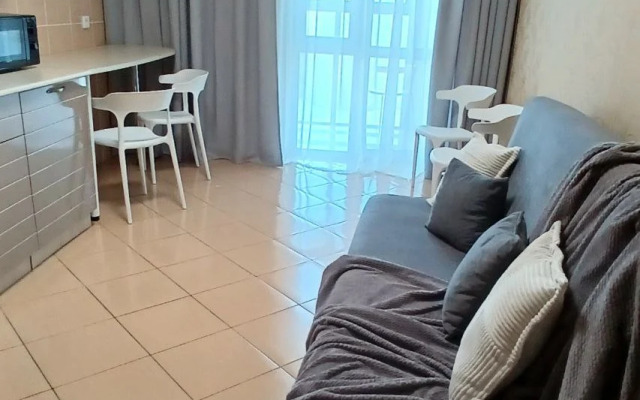 Квартира с видом на центральный стадион