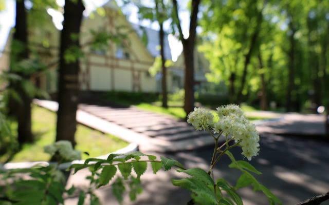 Отель Дубрава