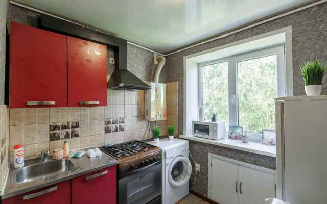 SmolSutki Novo-Chernushenskiy pereulok 1/2 (2komn) Flat