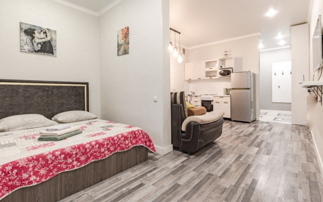 Odnokomnatnaya V tsentre Flat