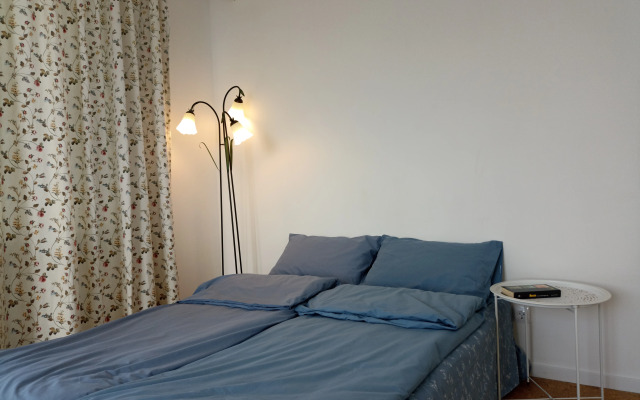 Vidovaya V Tsentre Kirovska Flat