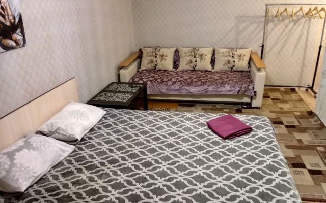 Odnokomnatnaya V Tsentre Leninskogo Rayona Flat