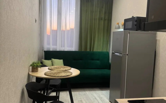 Квартира евро двушка в сердце Ростова на Дону