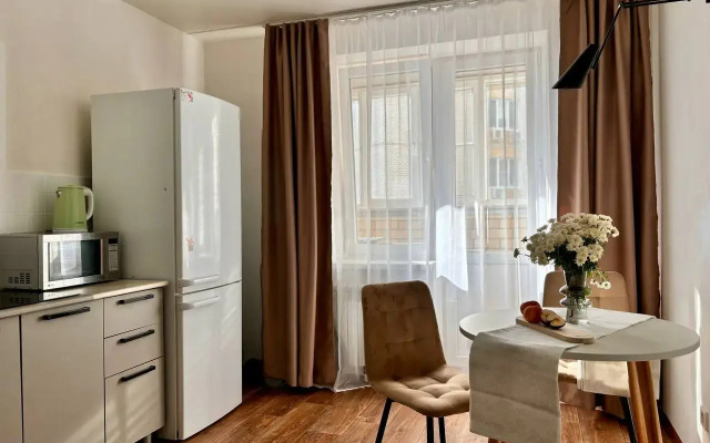 Atmosfernaya V Tsentre Levogo Berega Apartments