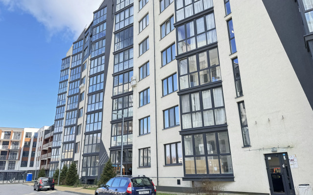 Wood Wind Lesnoy Veterok Flat