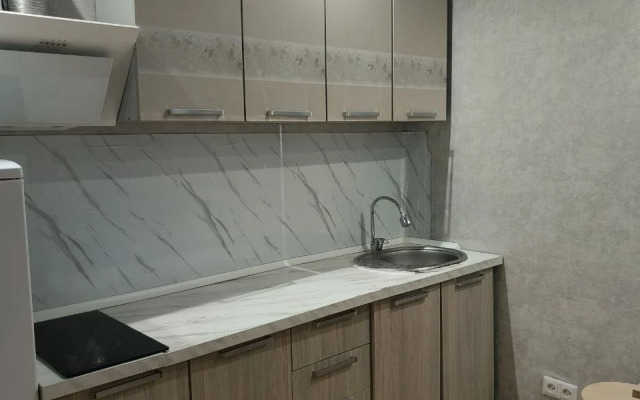 Квартира Студия курыжова 32