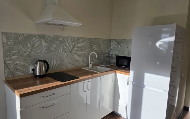 Апартаменты SeveRent на Торцева 65