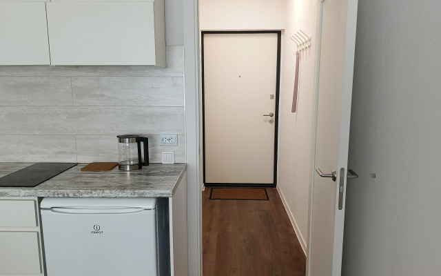 Studiya №1 Murinskaya doroga Flat