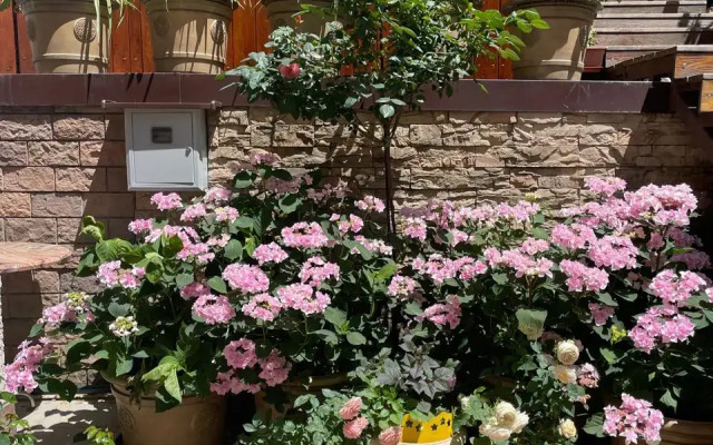 Rozmarin Guest house